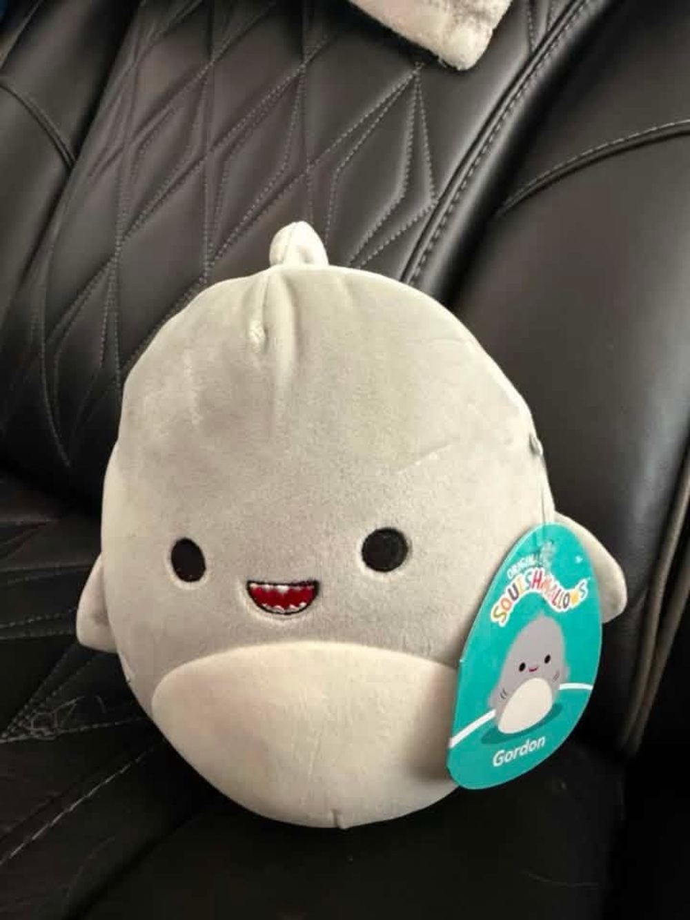 NWT Squishmallow